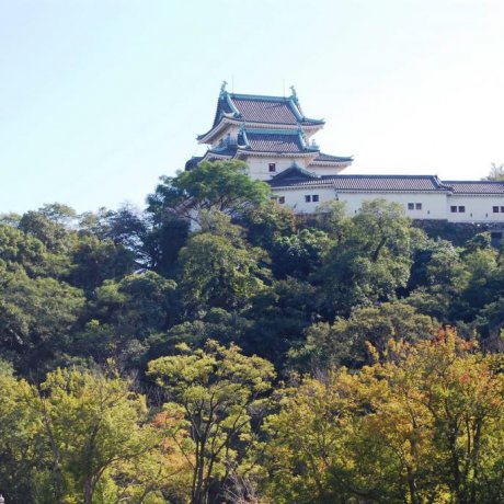 Wakayama City