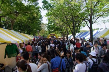 Cambodia Festival in Yoyogi Park