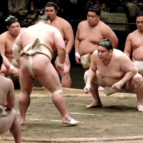 Sumo Wrestling