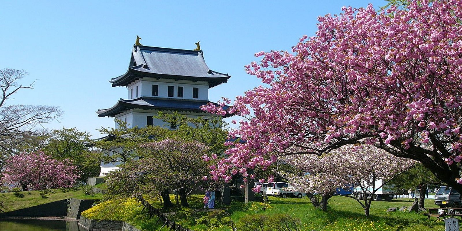 region image