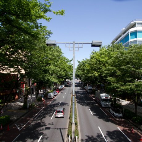 Omotesando