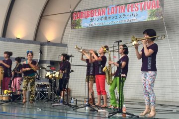Caribbean / Latin American Festival