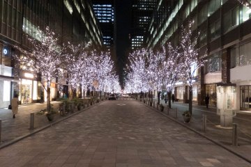 Marunouchi Winter Illuminations