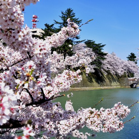 Fukui City