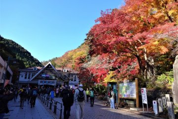 Mount Takao Autumn Leaves Festival