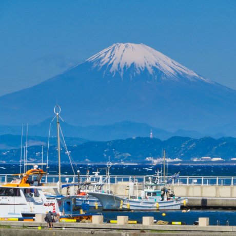 Multiple Days Itineraries