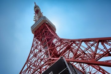 TELL Tokyo Tower Climb