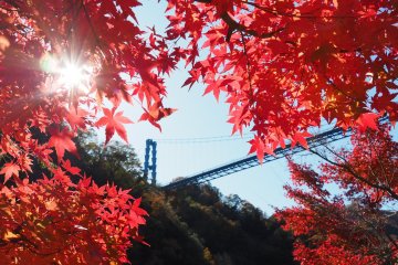 Ryujinkyo Autumn Foliage Festival