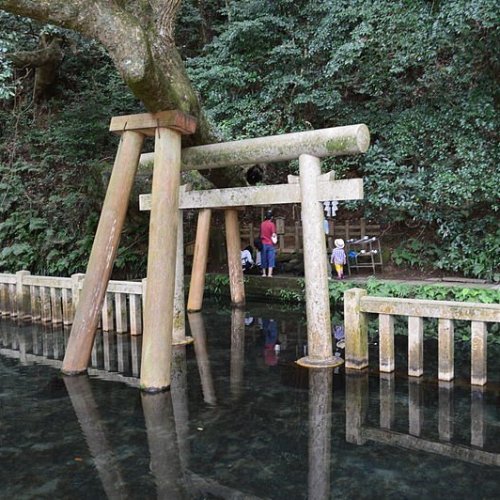 Kashima Shrine